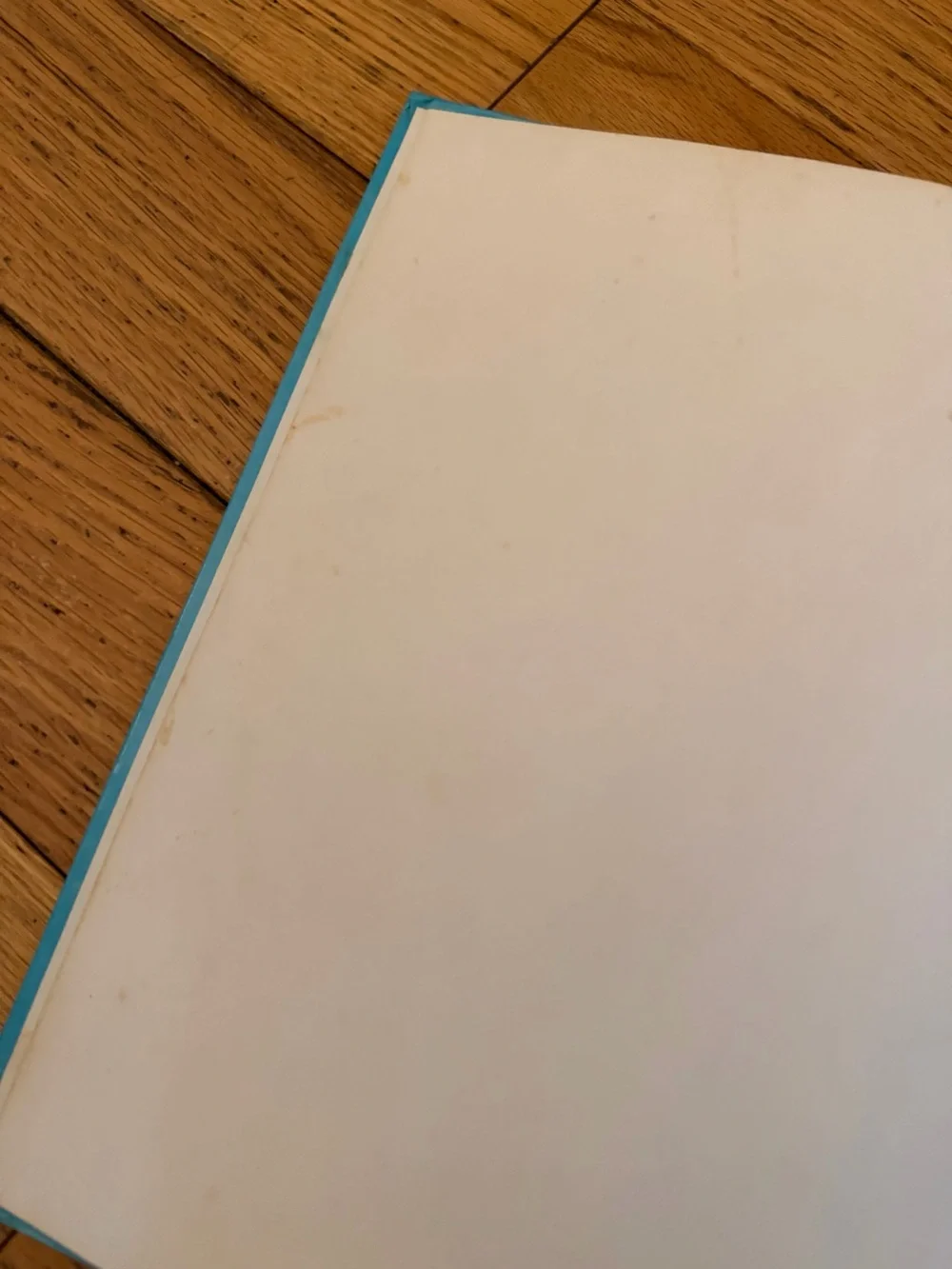 Disney Blue Picture Book - Words That Tell You About Things